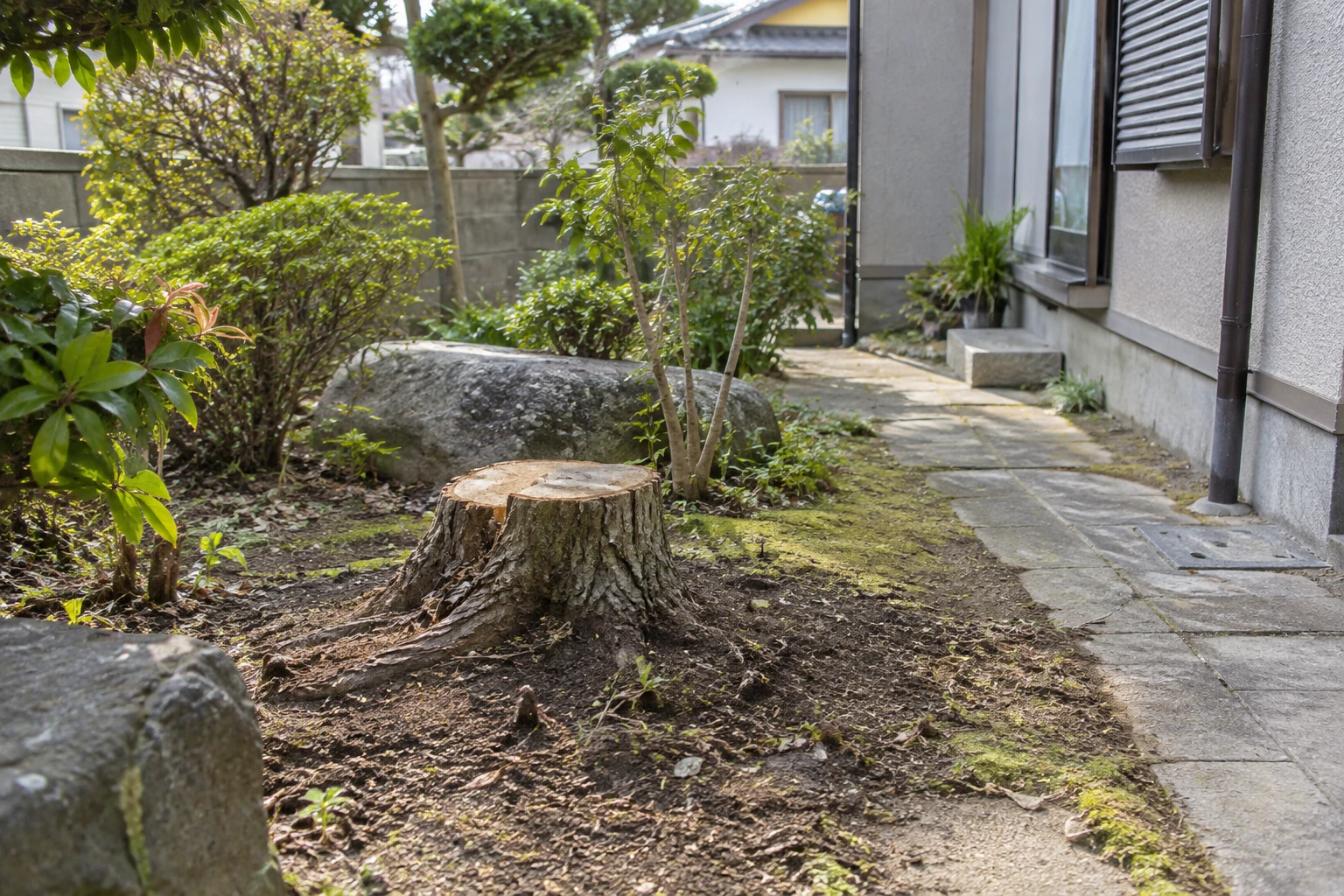 庭に残った切り株と周囲の地面や通路