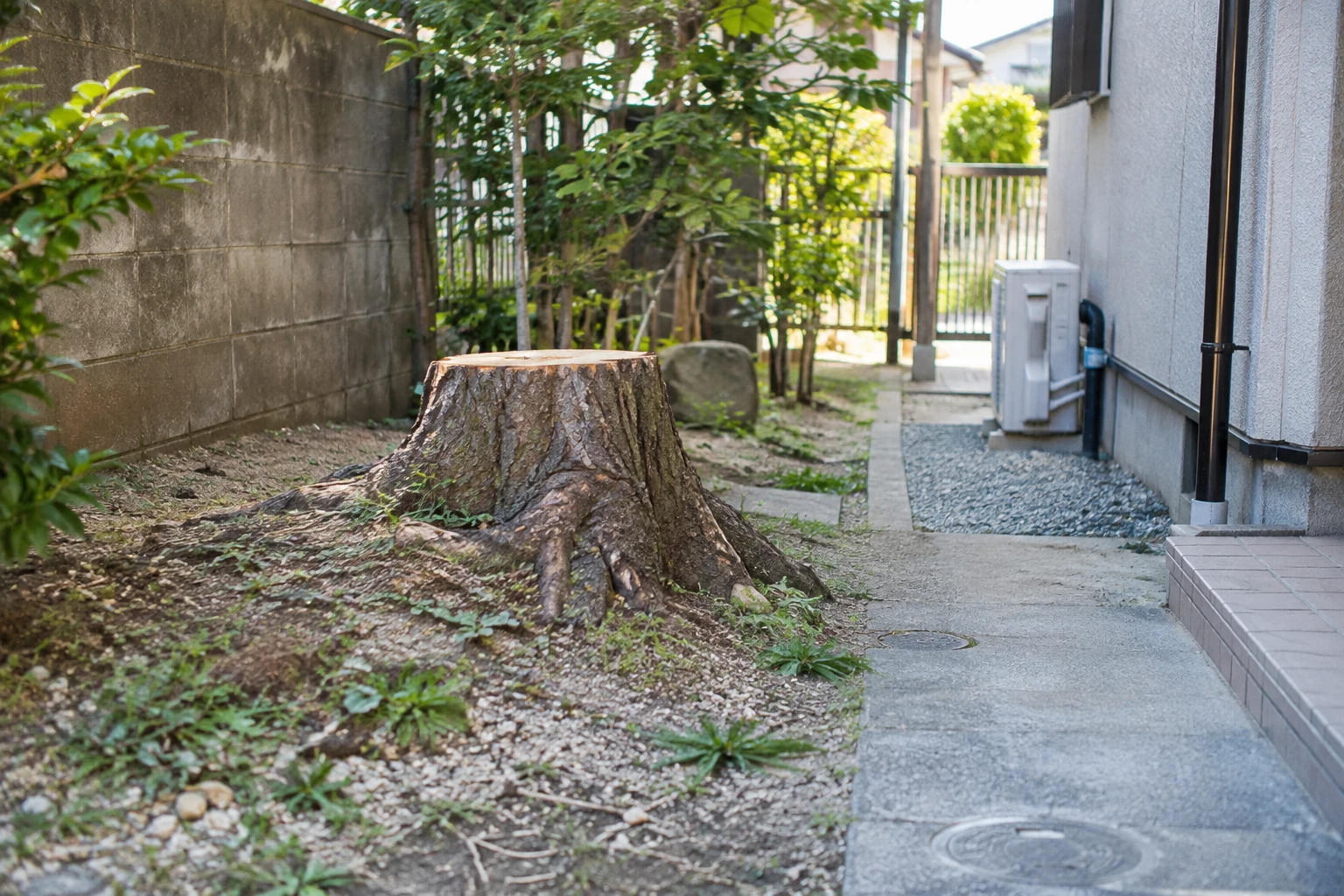 幹の太さや周囲の状況で作業条件が変わる