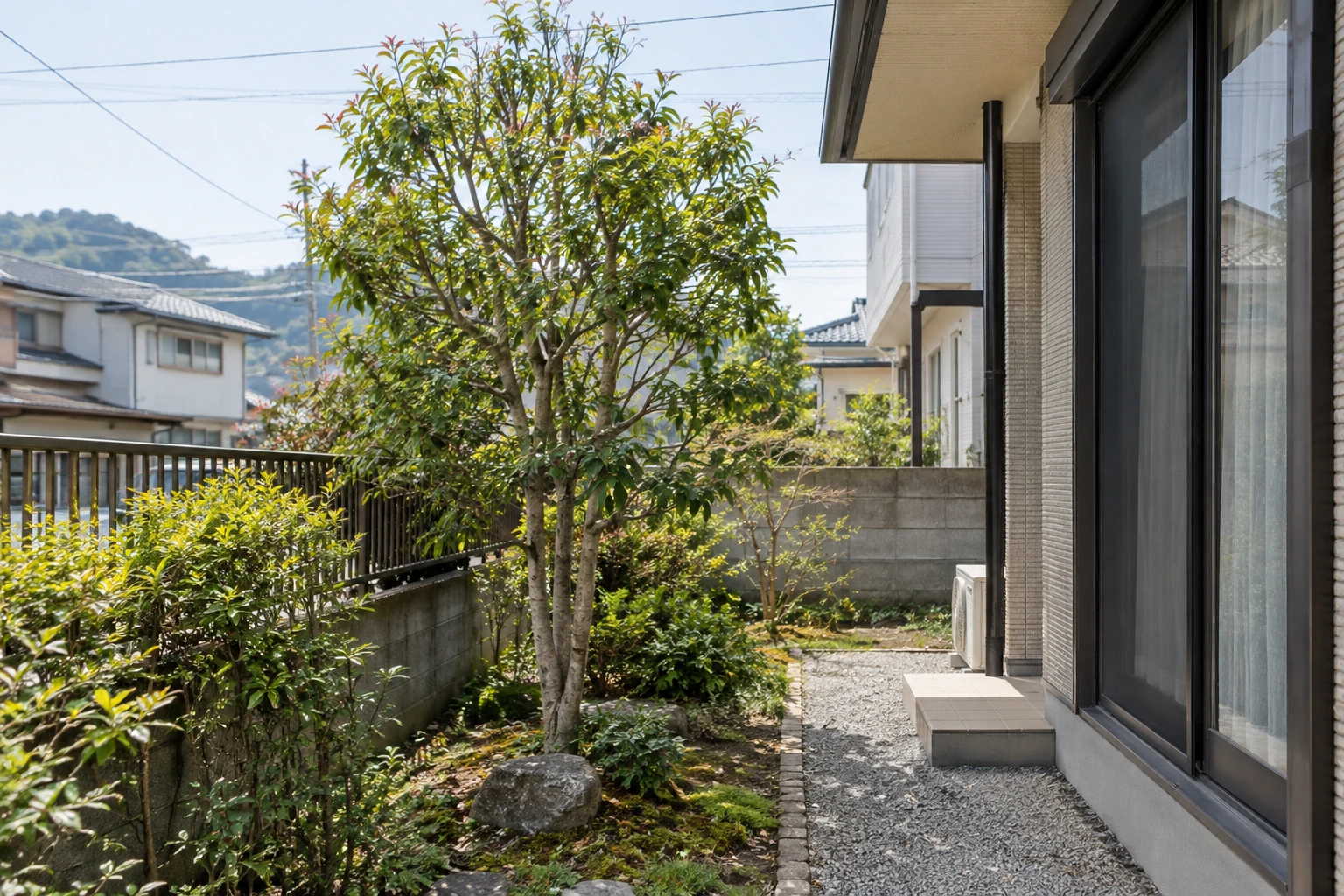 住宅の庭で周囲の空間が分かる庭木