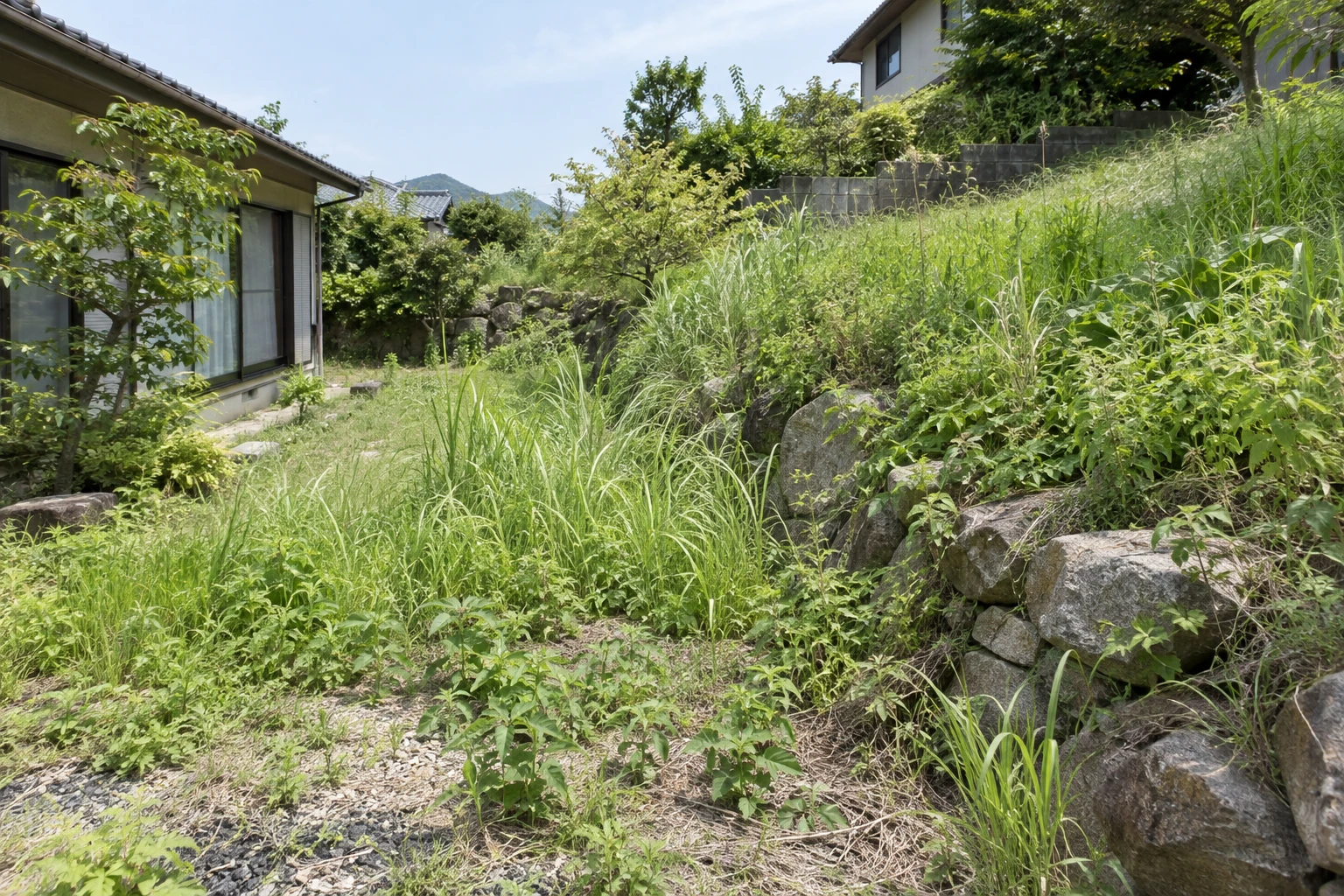 面積・草丈・斜面で、見積もりの条件が変わる