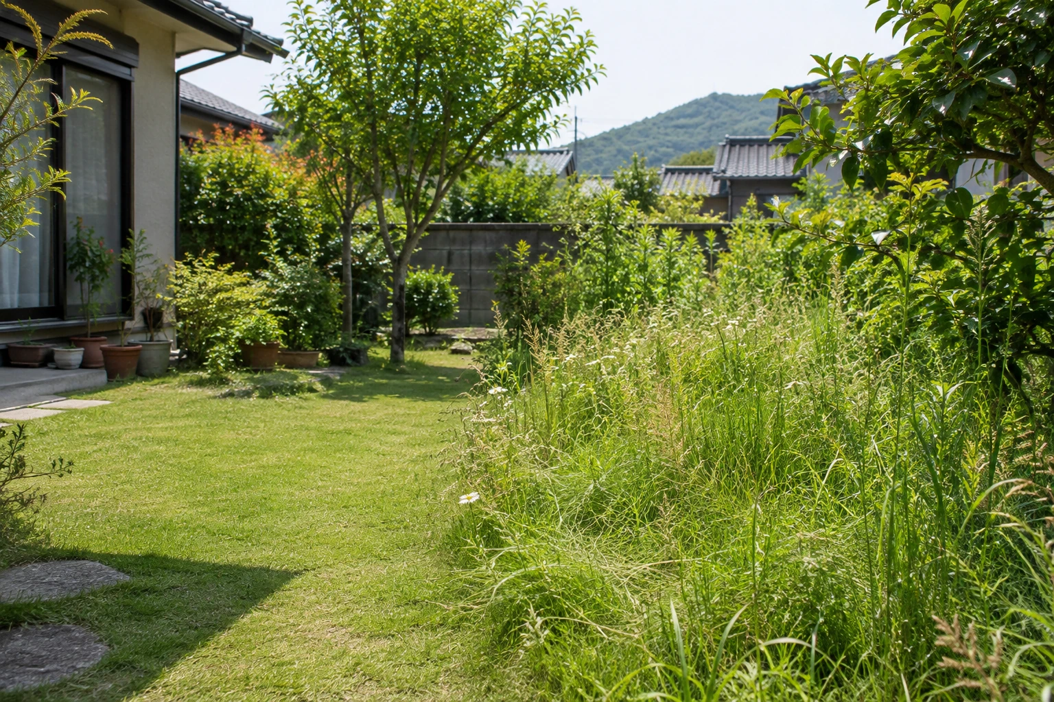 草が伸びた庭の一角と手入れされた草地