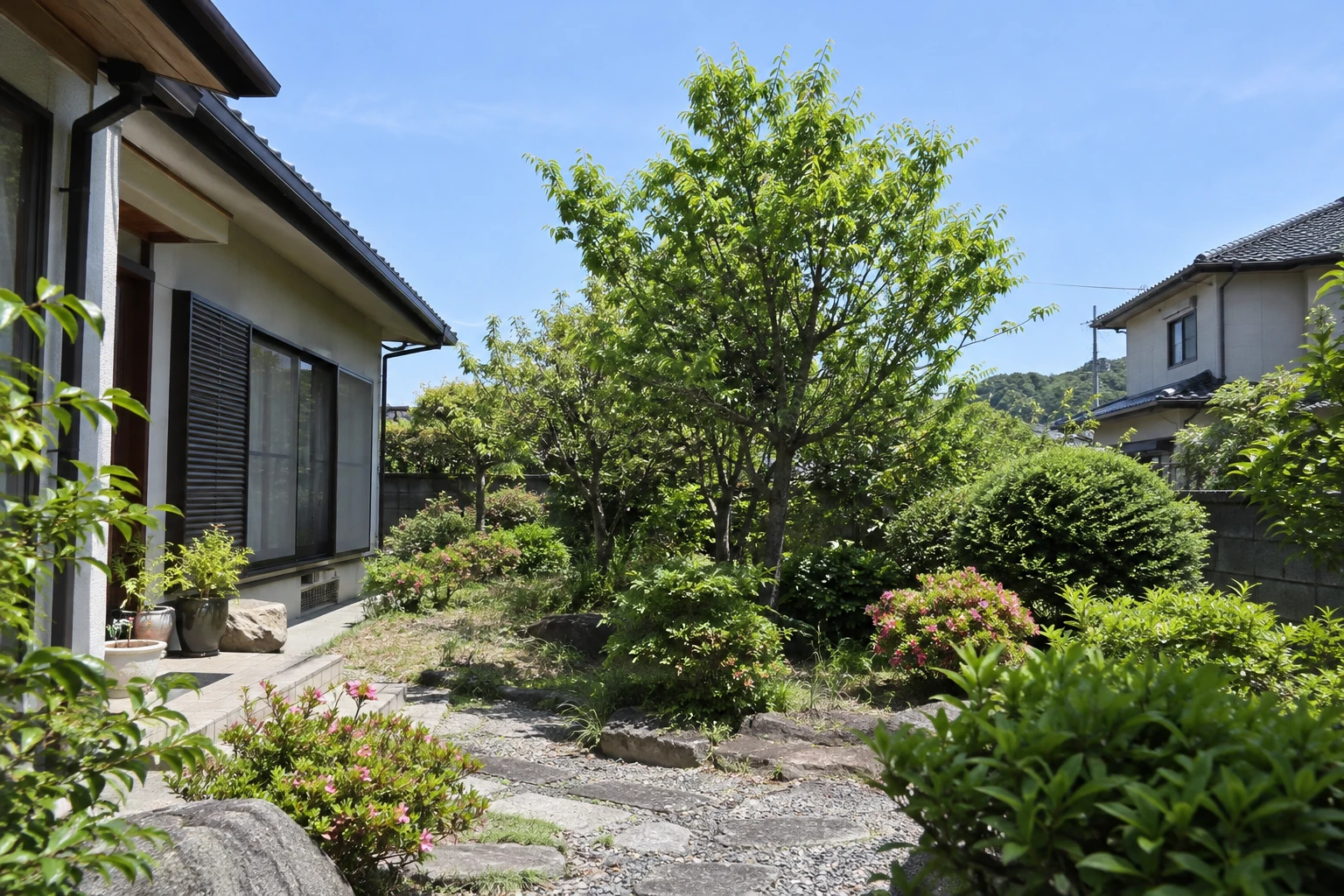 住宅の庭木と周囲の様子