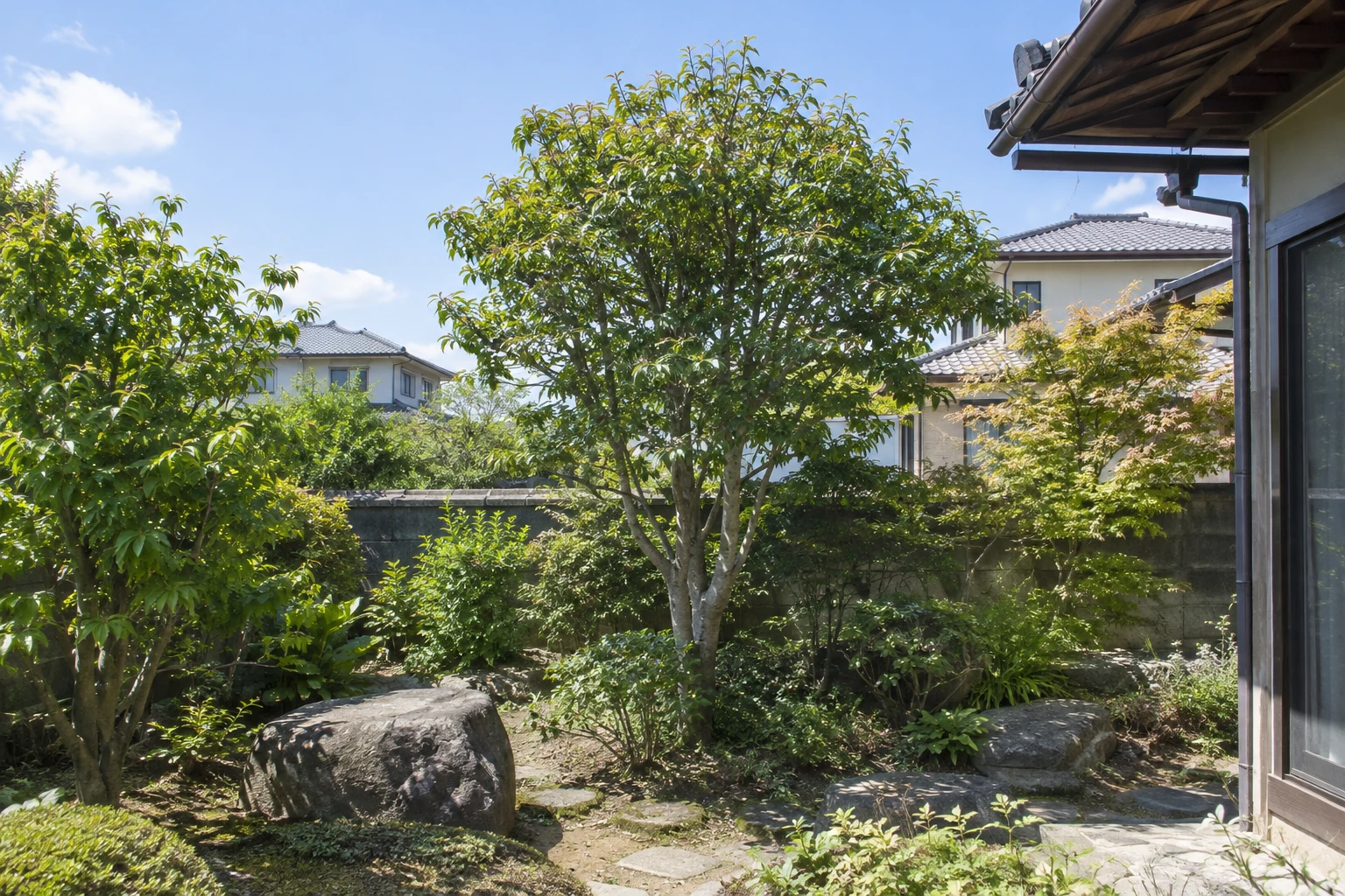 住宅の庭に立つ庭木