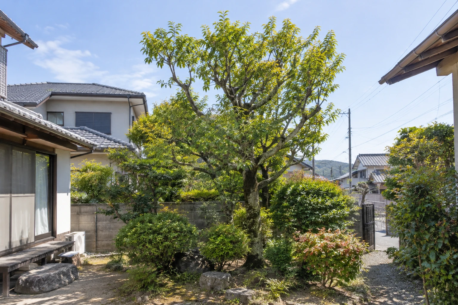 木の状態と周囲の条件で見積もりが変わる