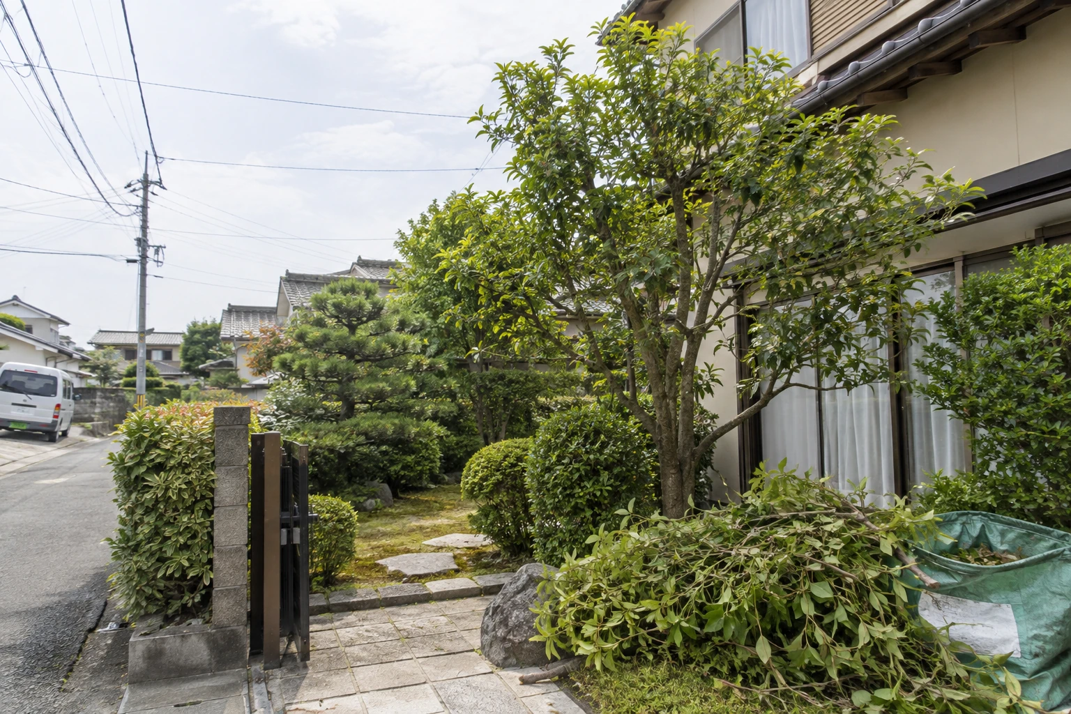 木の周囲と気になる枝を伝える