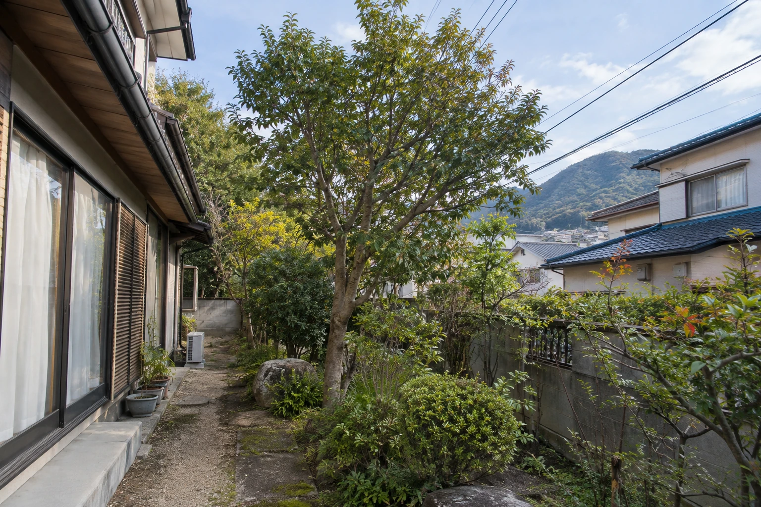 木の高さ・太さと現場の搬出条件が費用を左右する