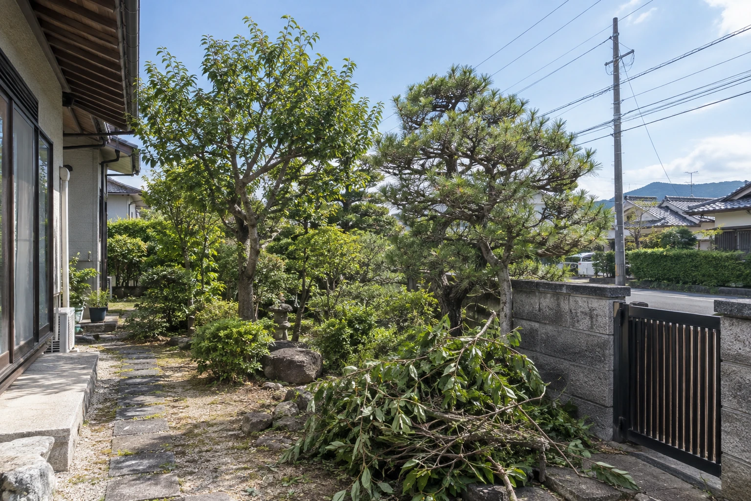 見積もりでは木の周囲と搬出経路も伝える