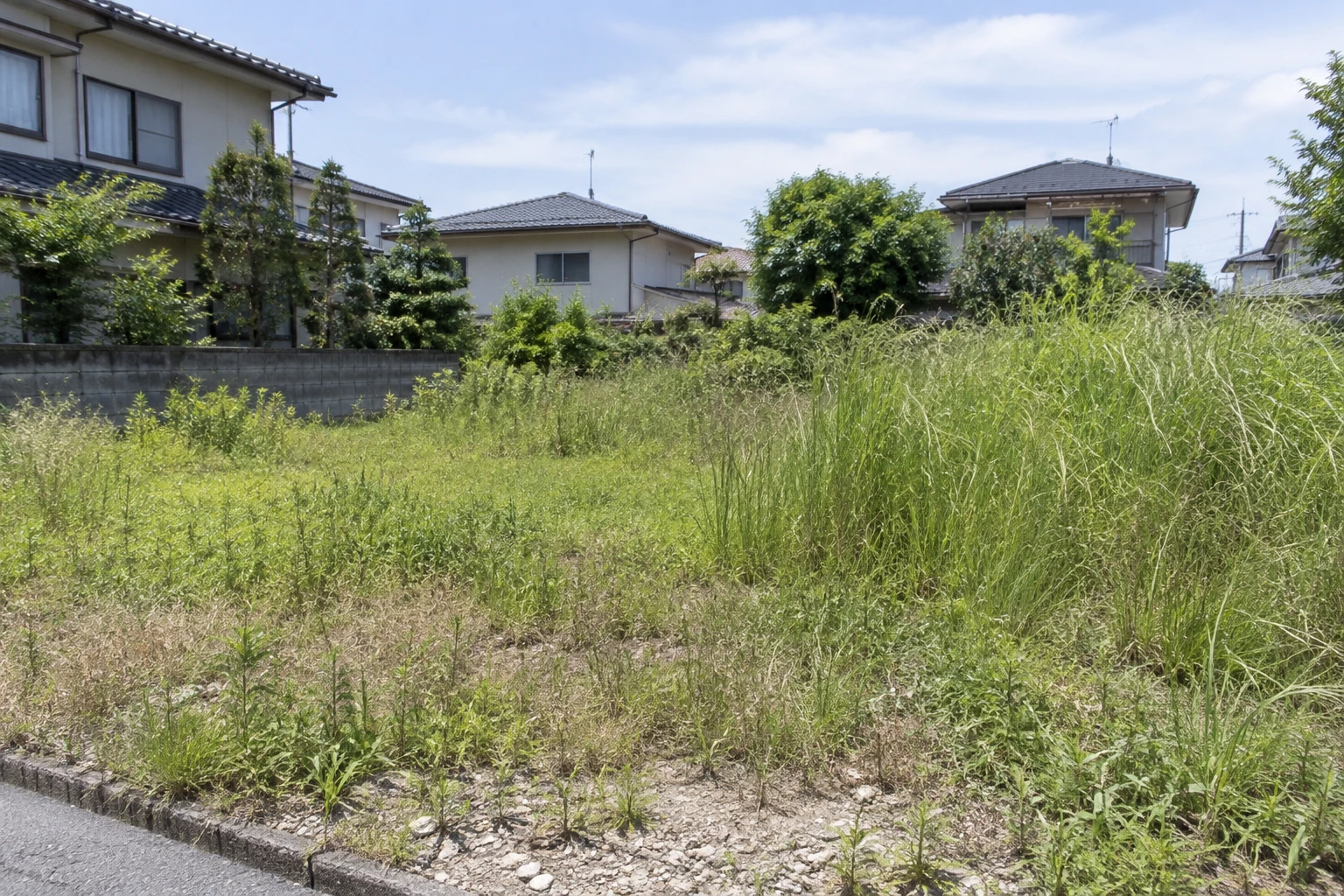 草丈に差がある空き地の草刈り対象範囲