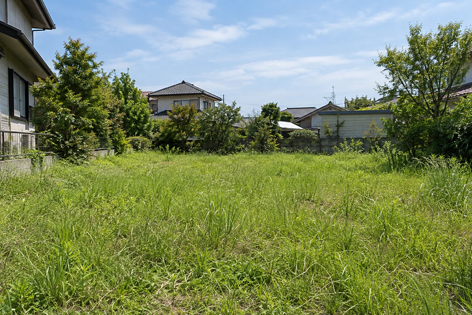 草刈りを検討する広い庭の草地