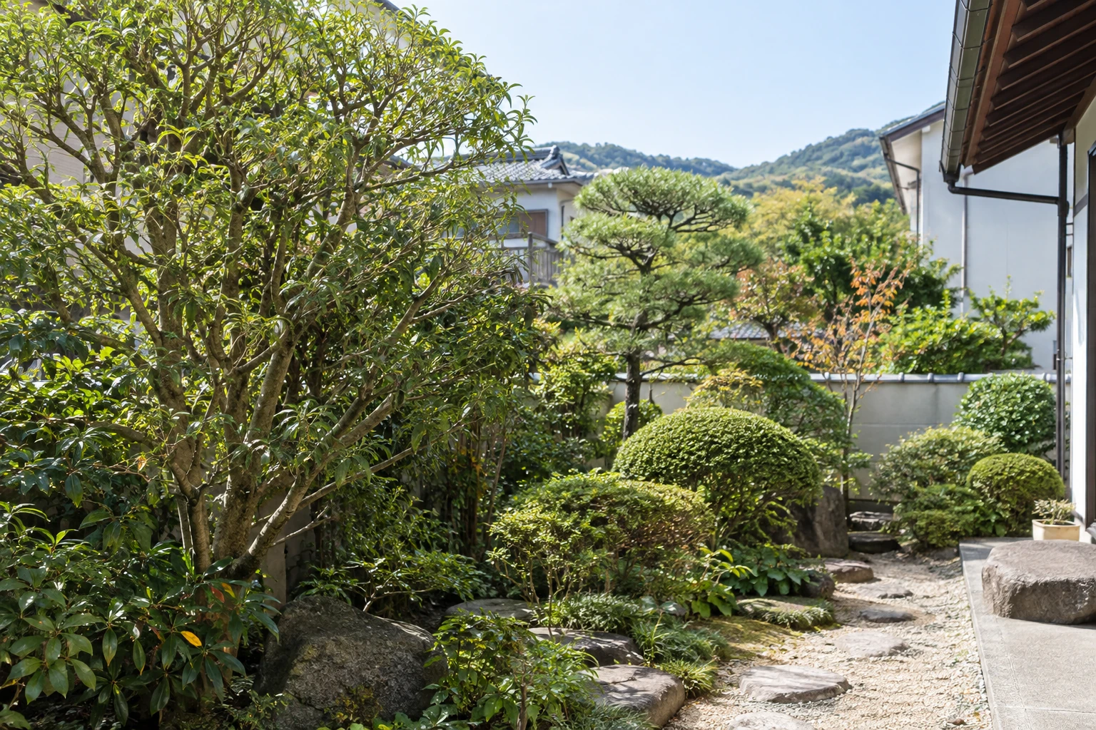 庭木と植え込みのある住宅の庭