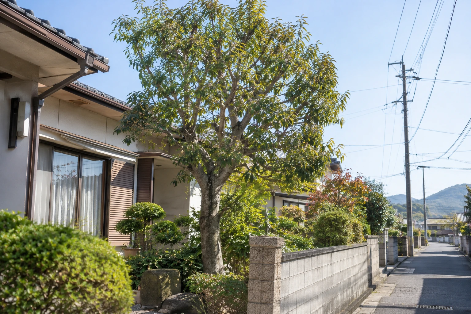 1本でも周囲の建物や搬出経路が費用に関わる