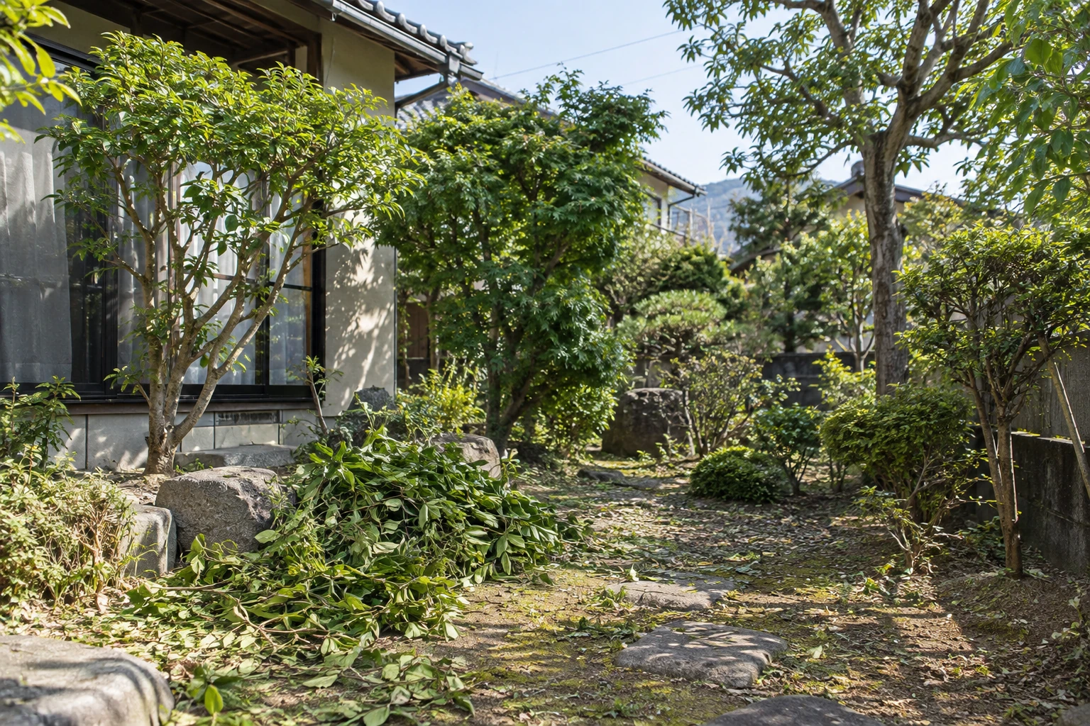 住宅の庭に立つ庭木と足元の枝葉