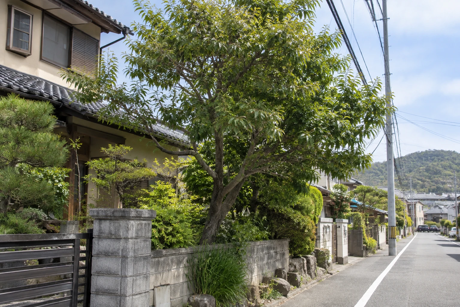 電線・道路・搬出経路も作業条件になる