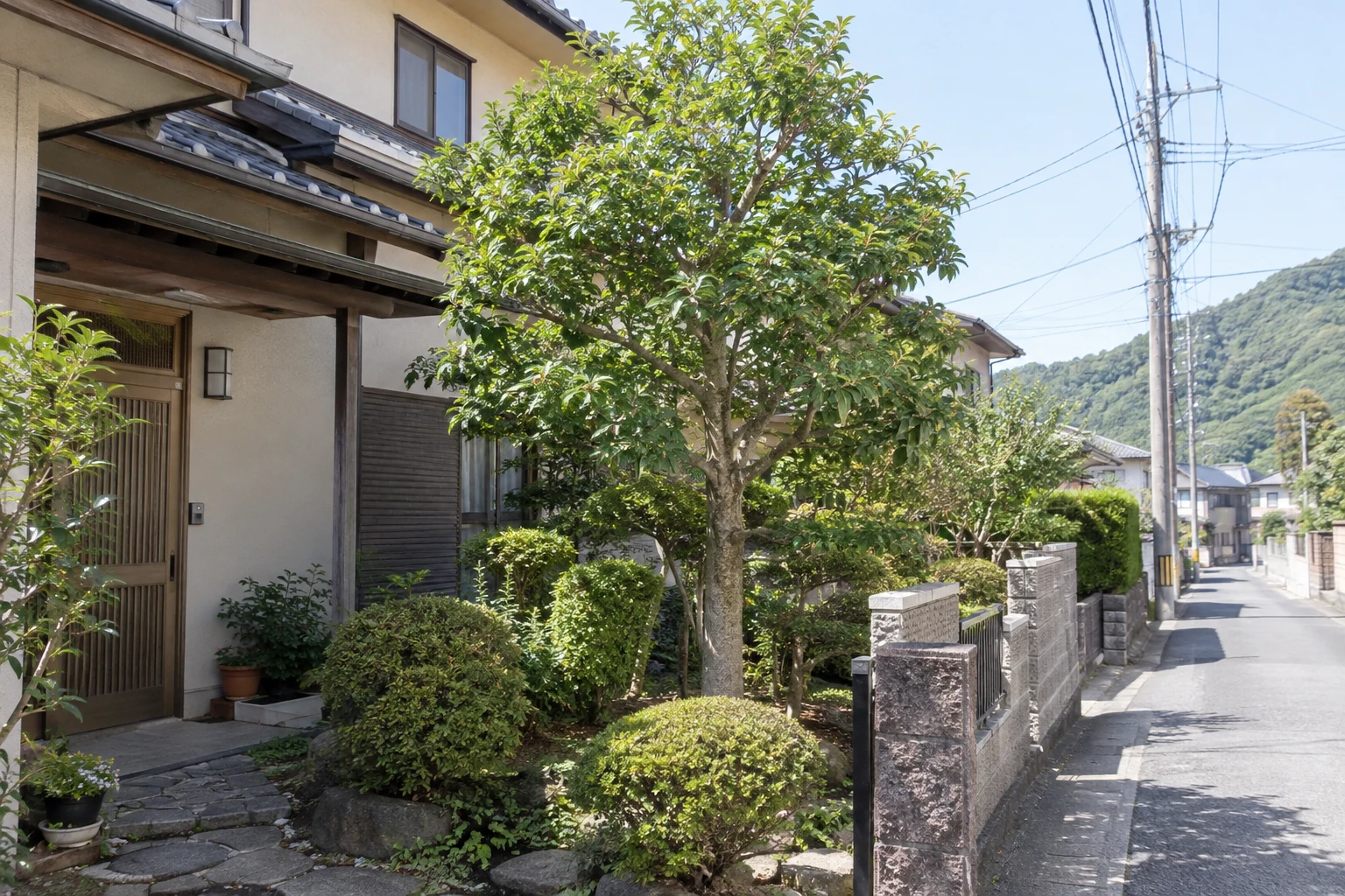 電線や建物との位置、搬出経路も伝える