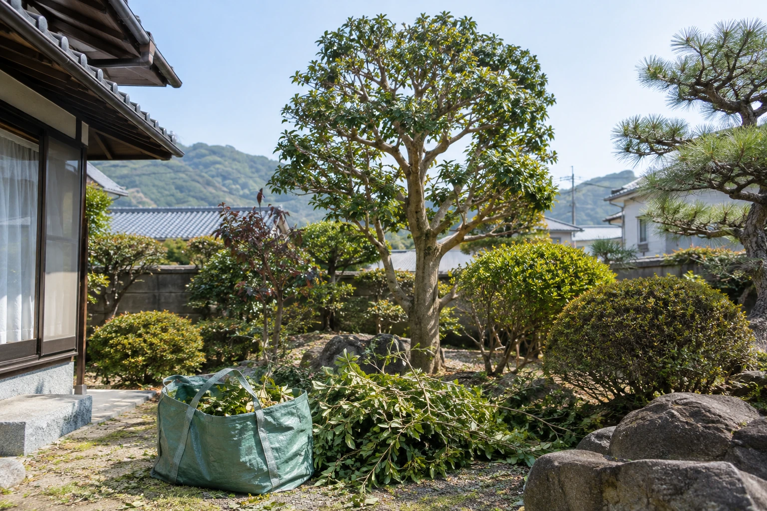 剪定費用は木の高さだけでなく処分や現場条件も確認