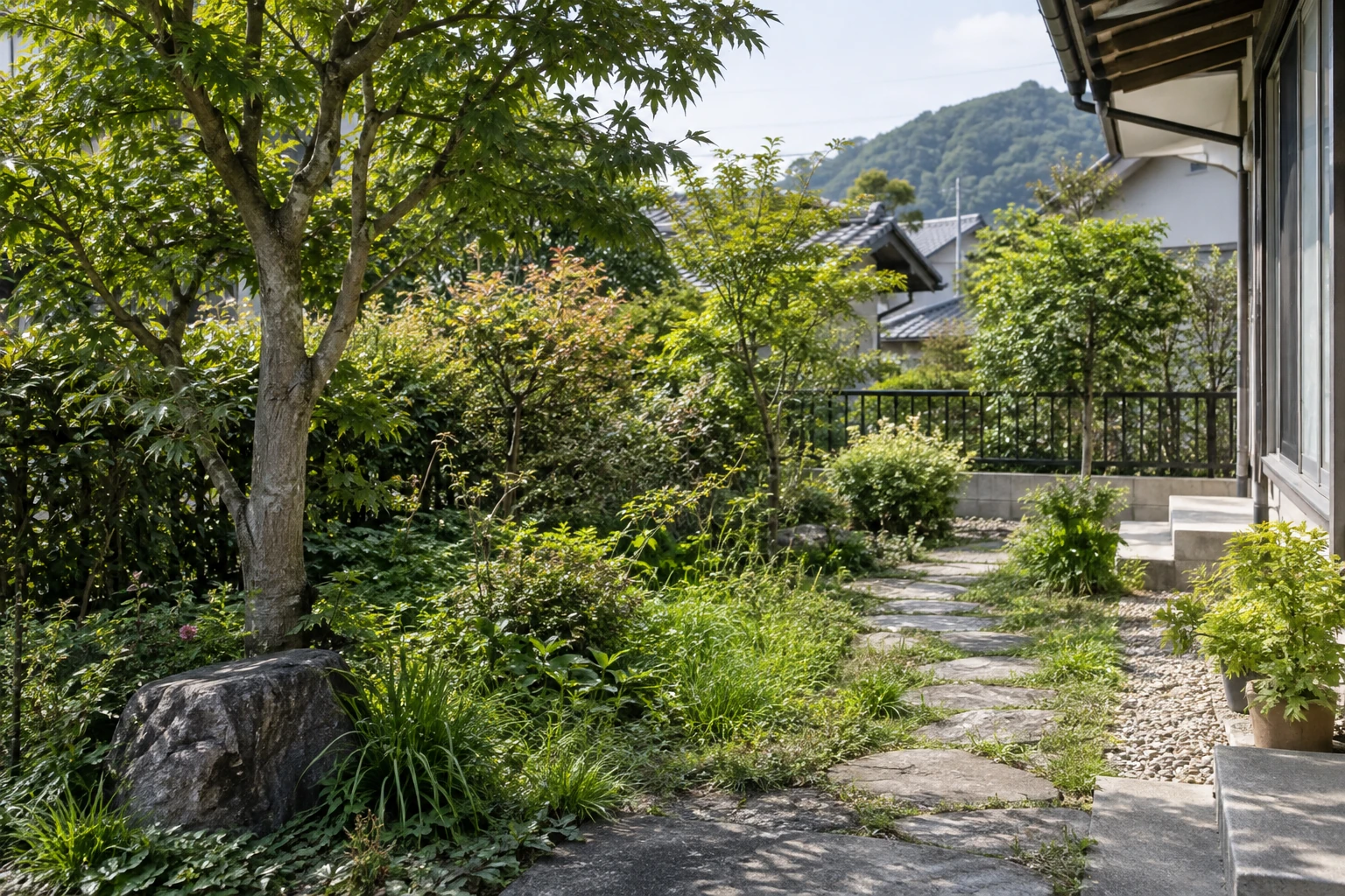 庭木と足元の草、通路が見える住宅の庭