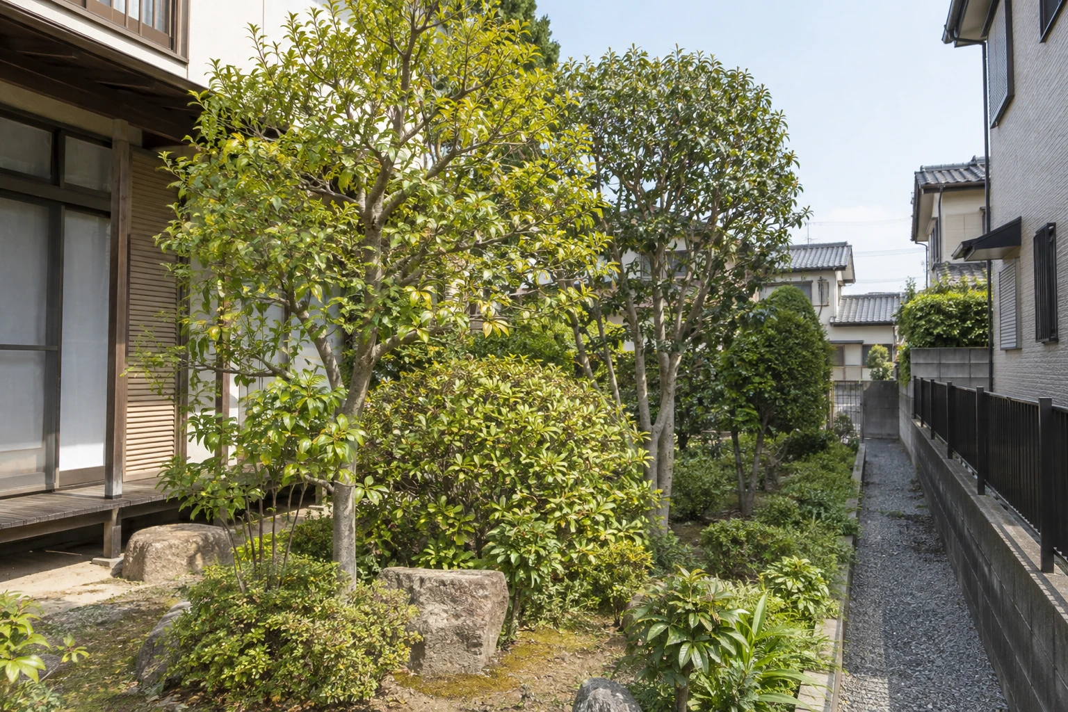 建物と通路の近くにある庭木