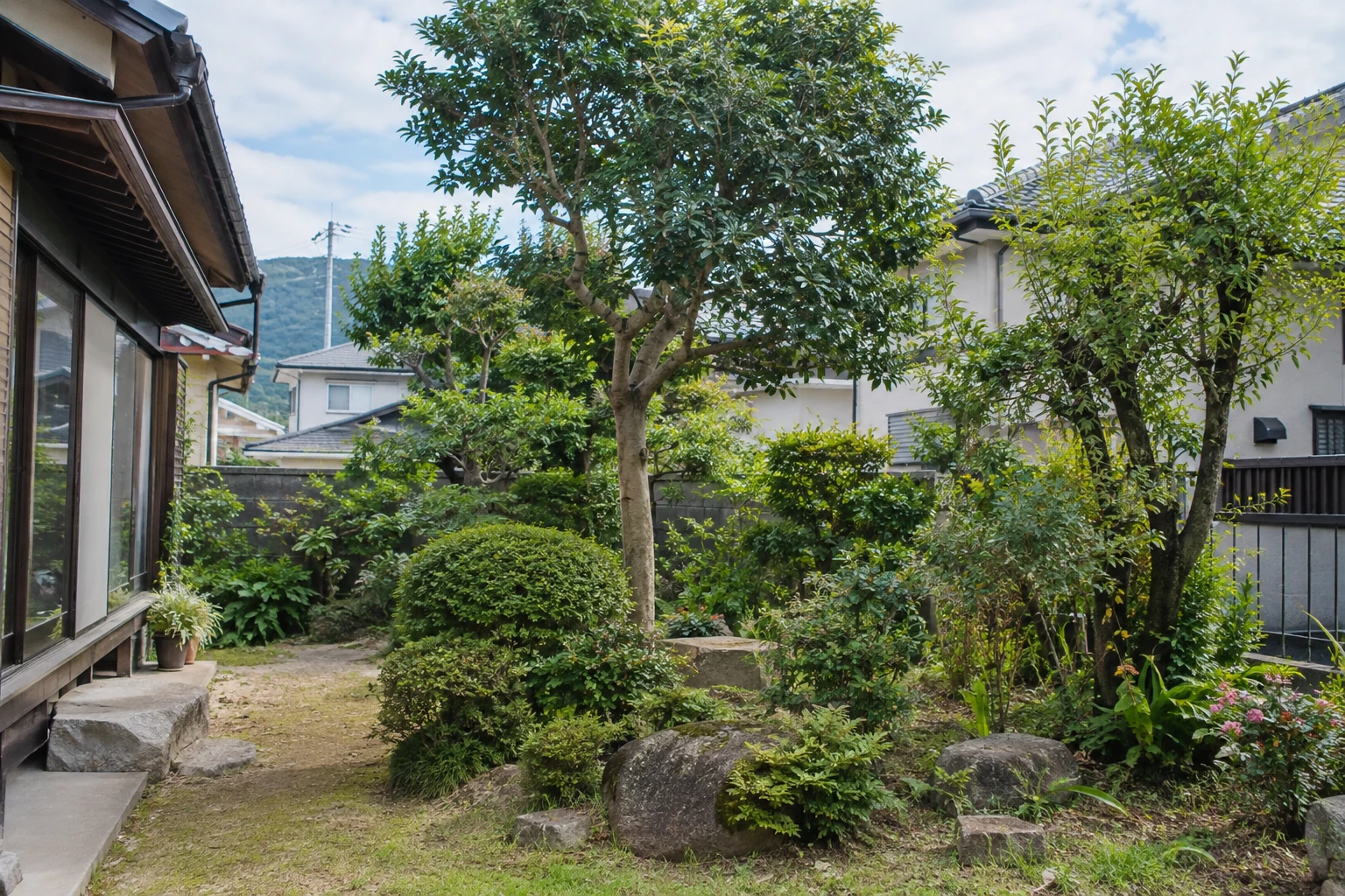伐採を検討する庭木と周囲の建物