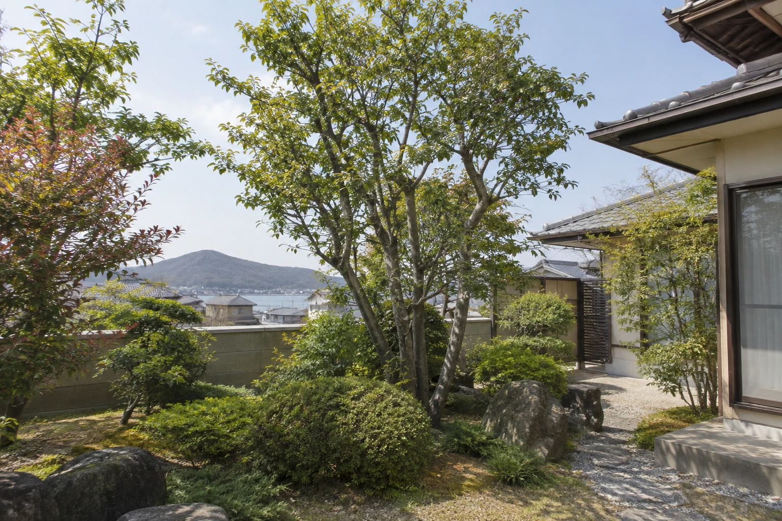住宅の庭にある庭木と周囲の様子
