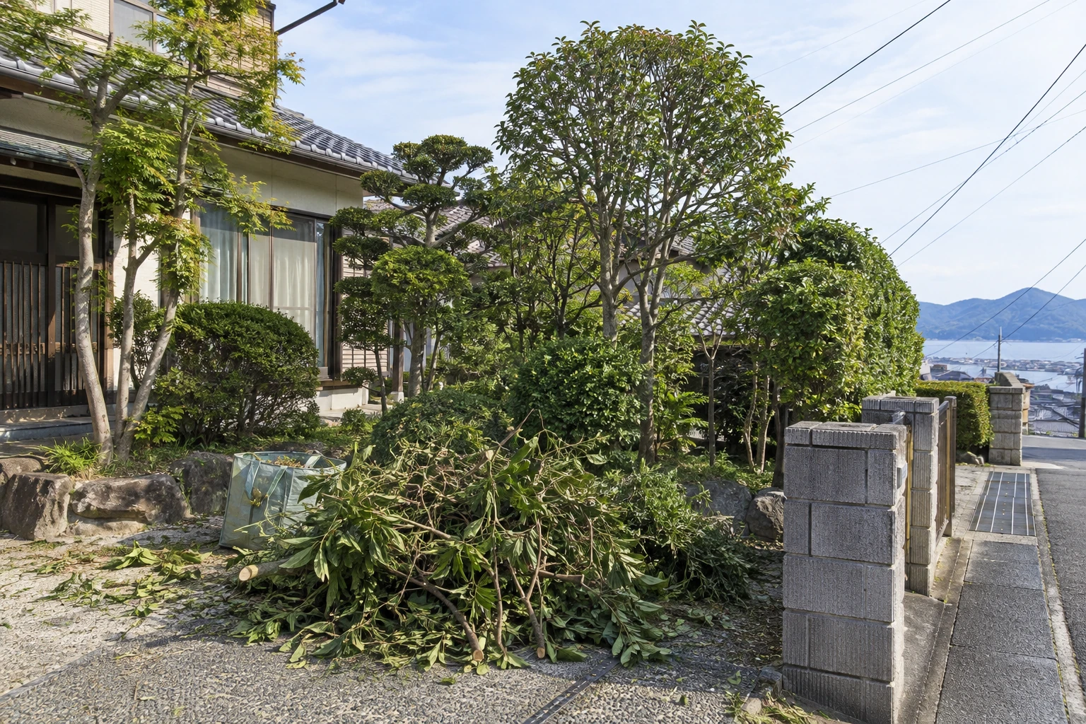 枝の処分と電線・道路への安全対応を分けて確認