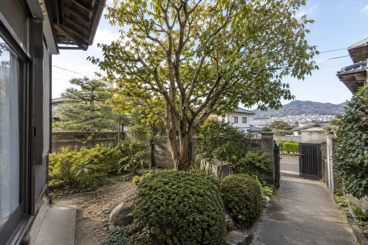 木の名前や写真がなくても分かる範囲から伝えられる