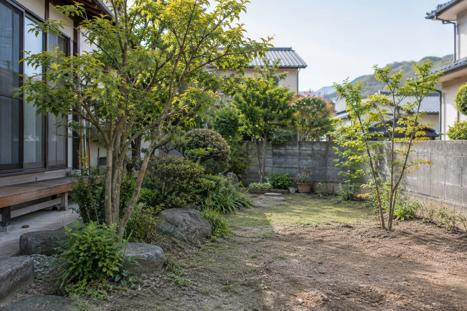 庭木と移植先候補の植栽スペース
