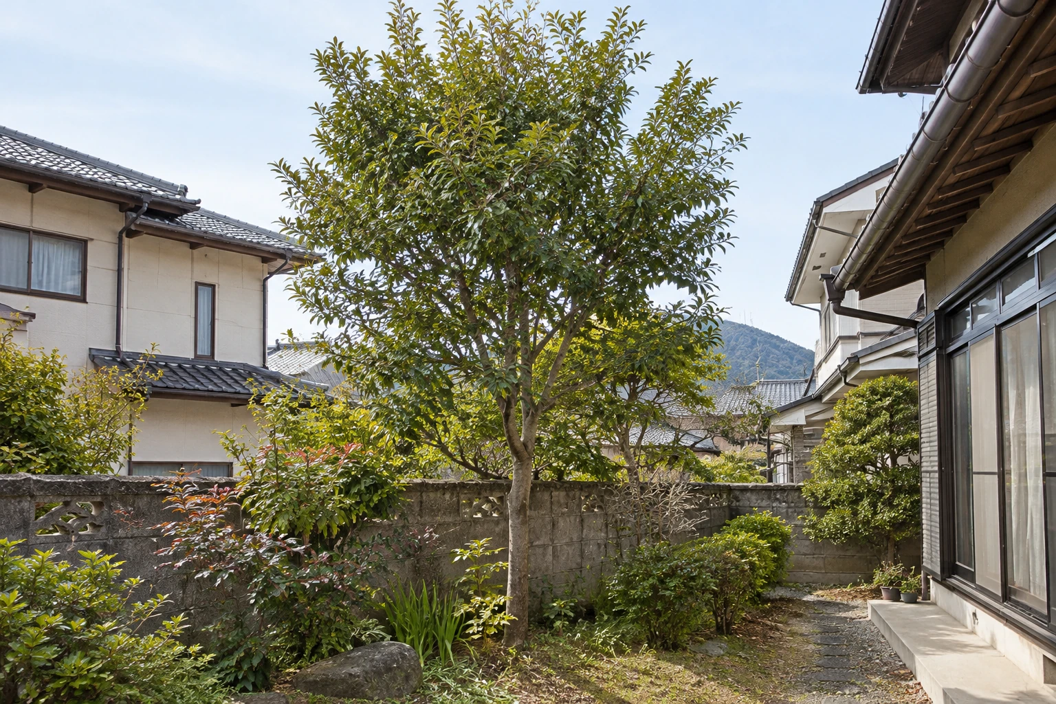 住宅の庭木と周囲の建物の位置関係を示すイメージ