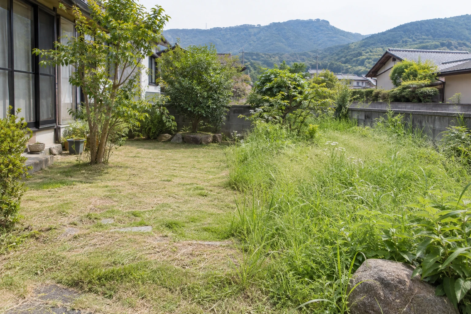 草刈りを検討する庭の草地と残す範囲