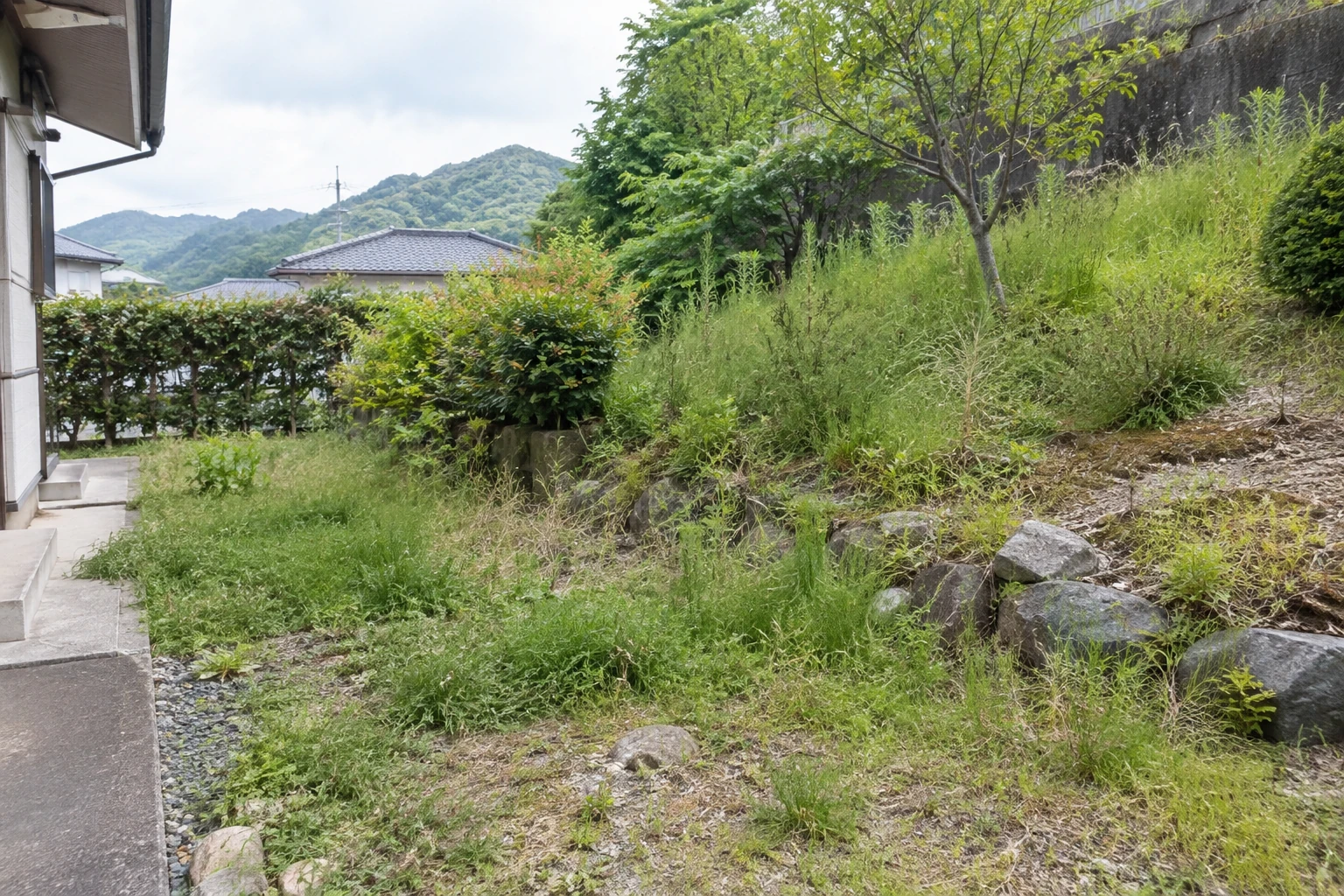 通路から見た草丈の異なる庭と緩やかな斜面