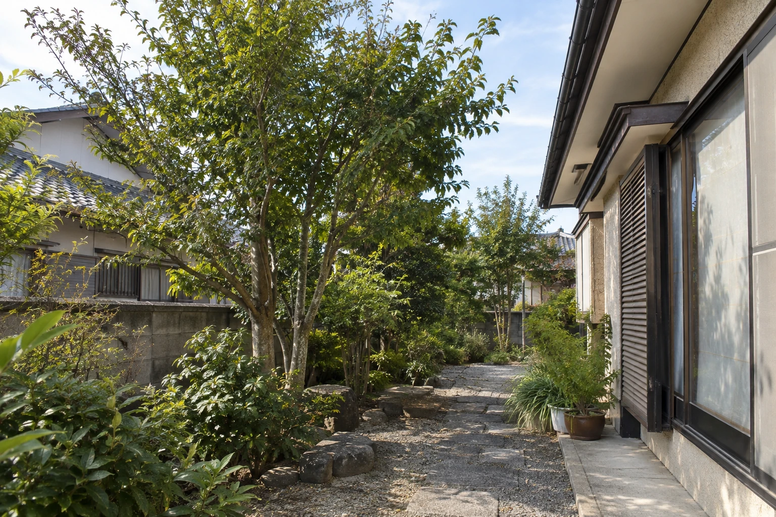 住宅の庭木と周囲の建物や通路