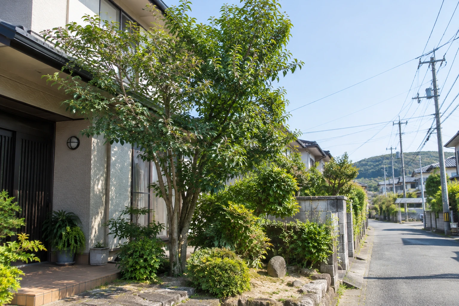 写真や木の名前がなくても、困りごとから相談できる