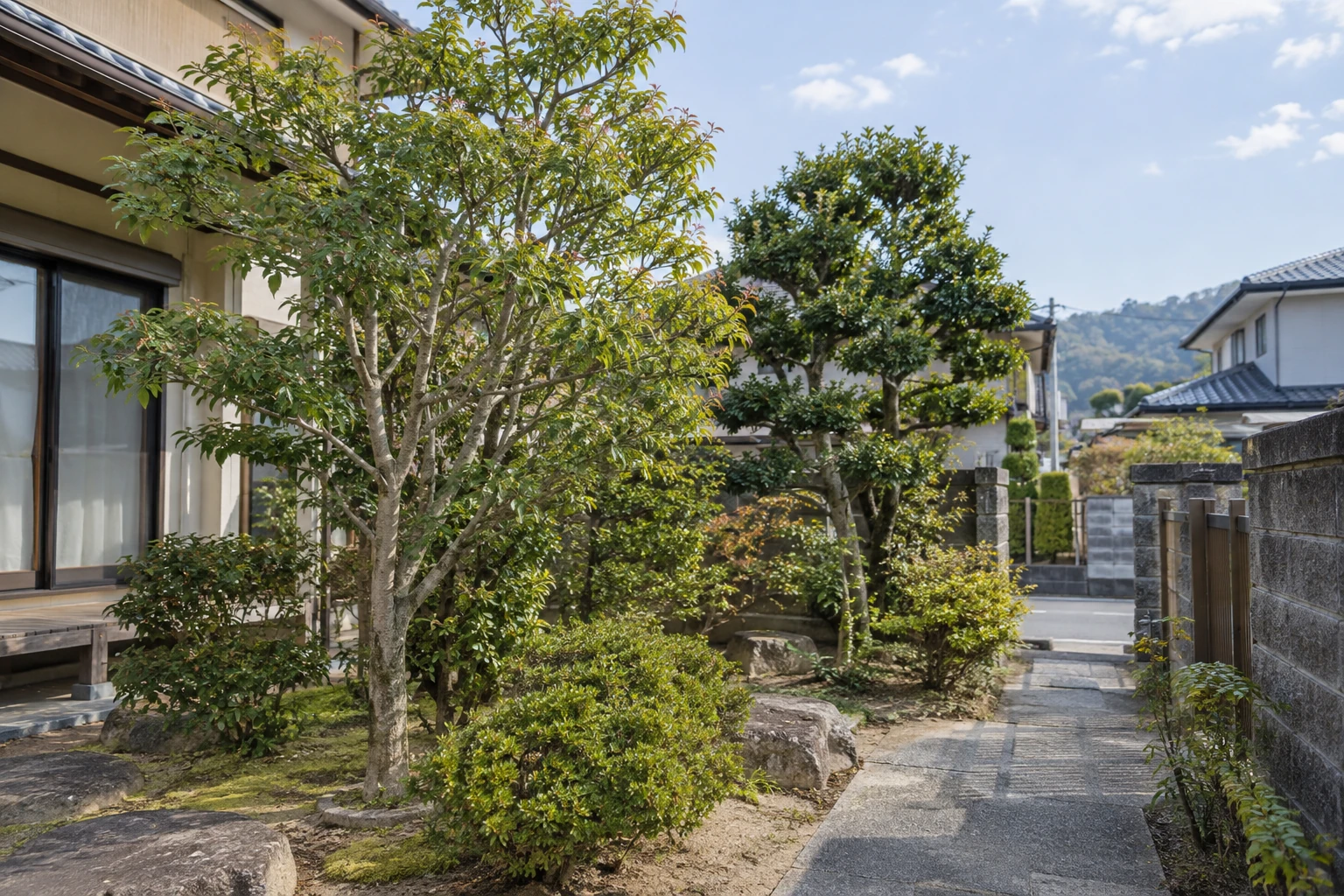 住宅の庭に立つ庭木と周囲の建物や通路