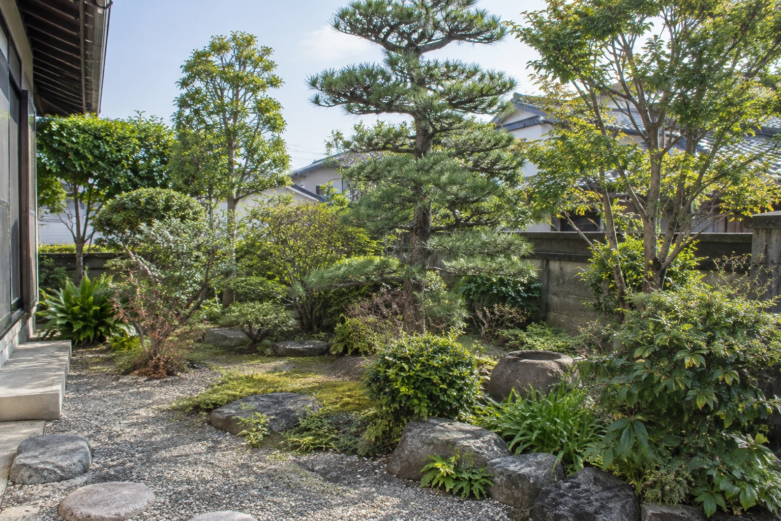 住宅の庭に立つ庭木と周囲の様子
