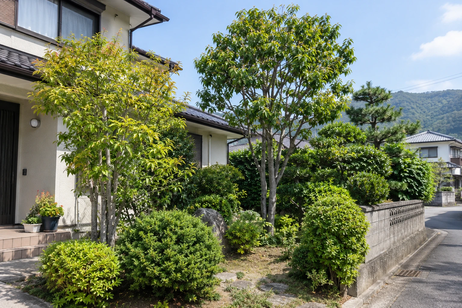 木の大きさと作業場所を伝えると、見積もりを確認しやすい