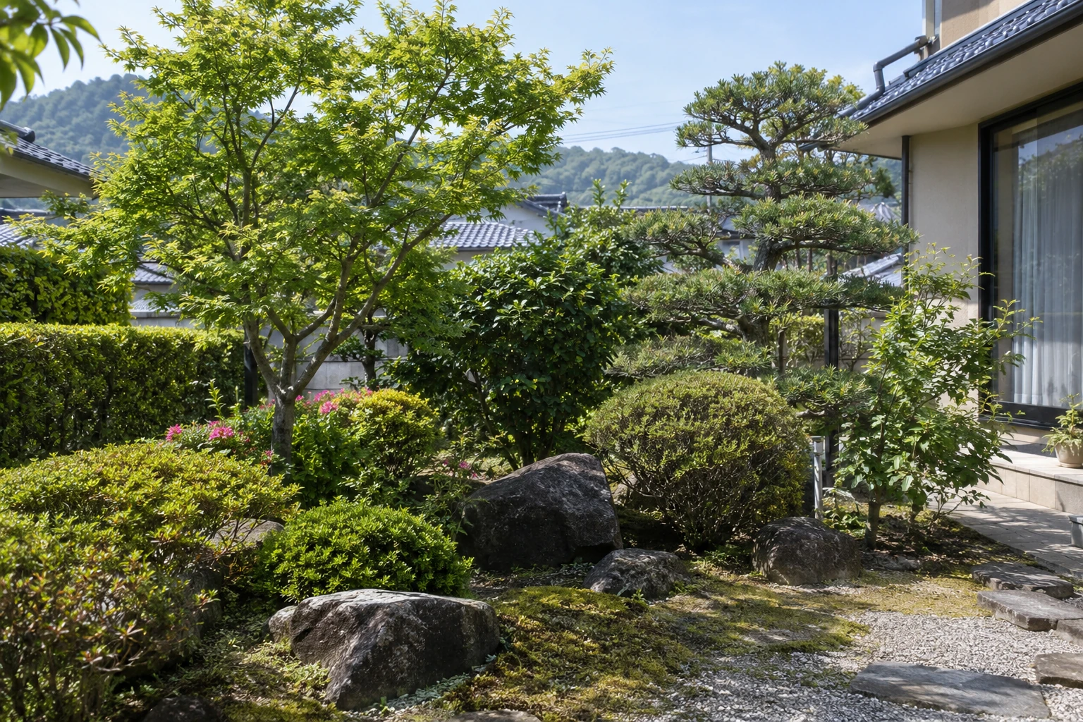 住宅の庭に植えられた庭木