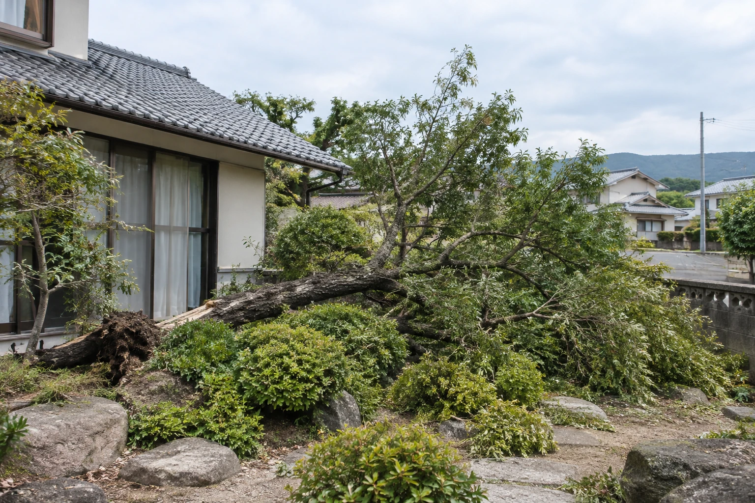 庭の木と建物の位置関係を遠くから見た参考イメージ
