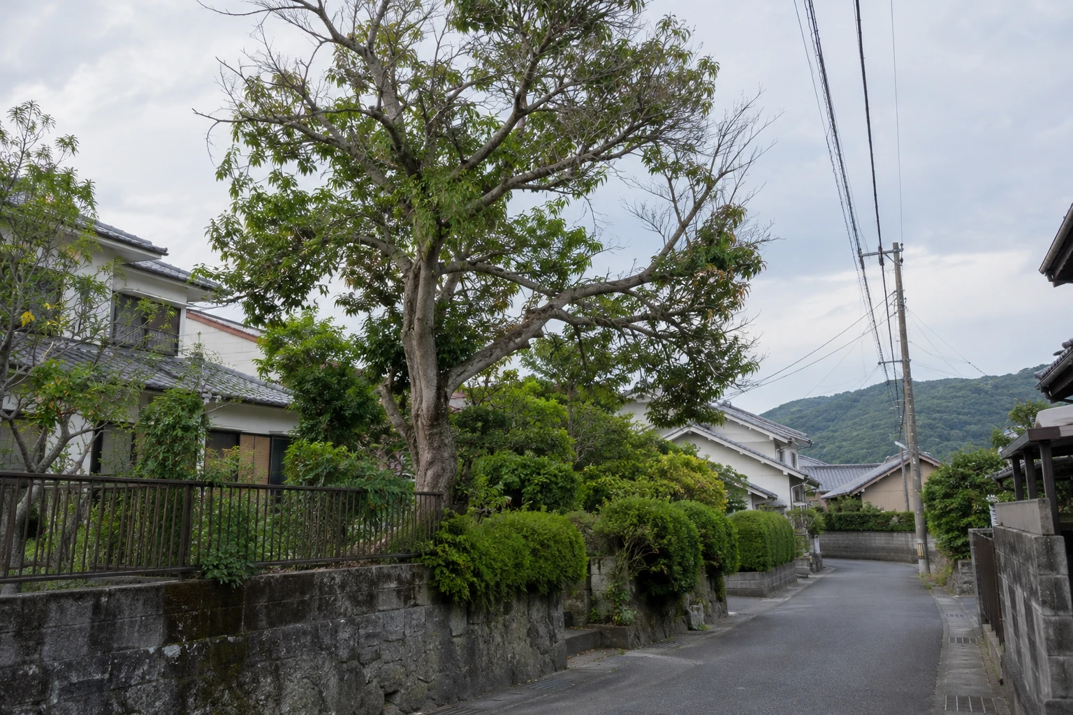 写真より先に、安全な場所から位置と状況を伝える