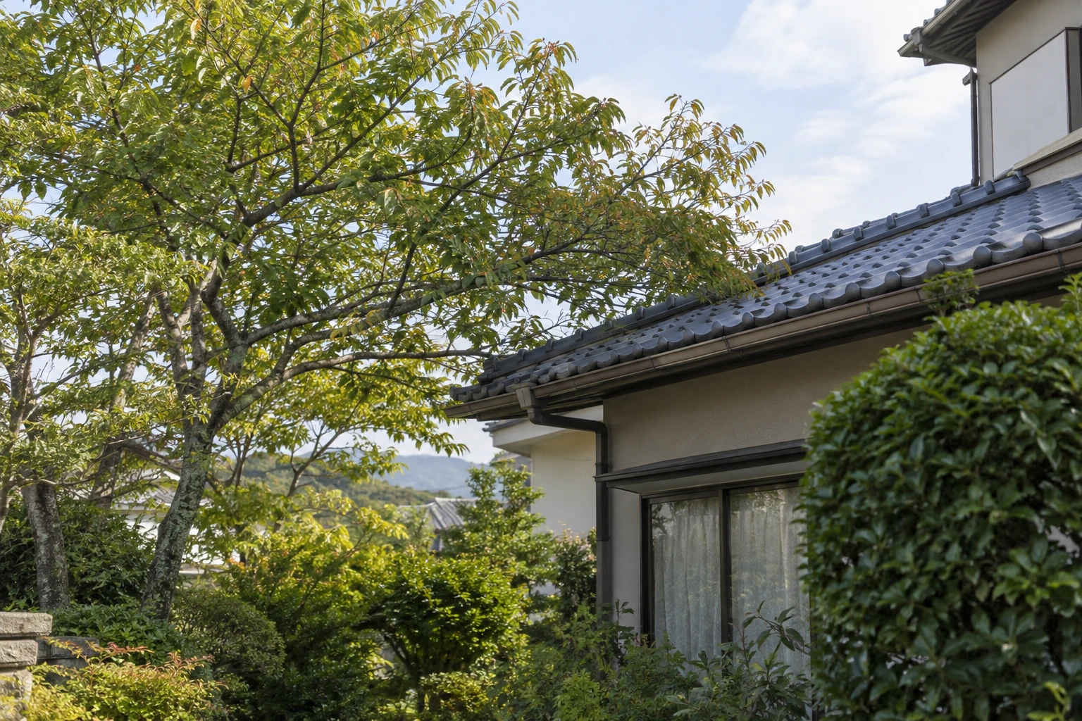 住宅の屋根付近へ伸びた庭木を遠景で示したイメージ