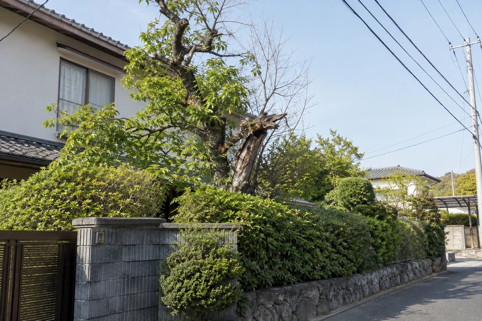 安全な場所から、木の位置と周囲への影響を伝える