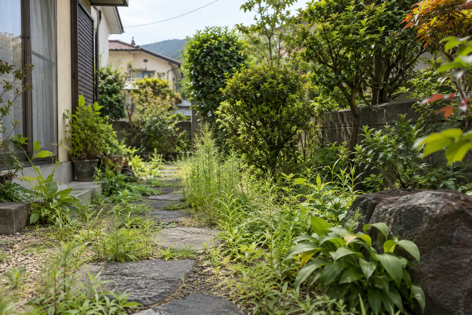 草が伸びた住宅の庭の参考イメージ