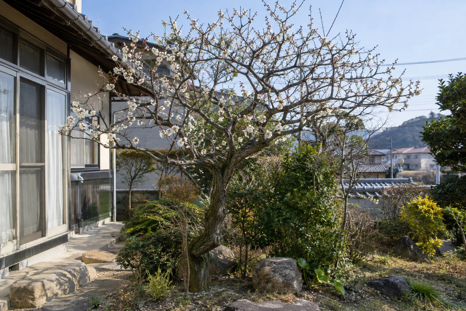 花や実の希望と、枝の混み方を確認する