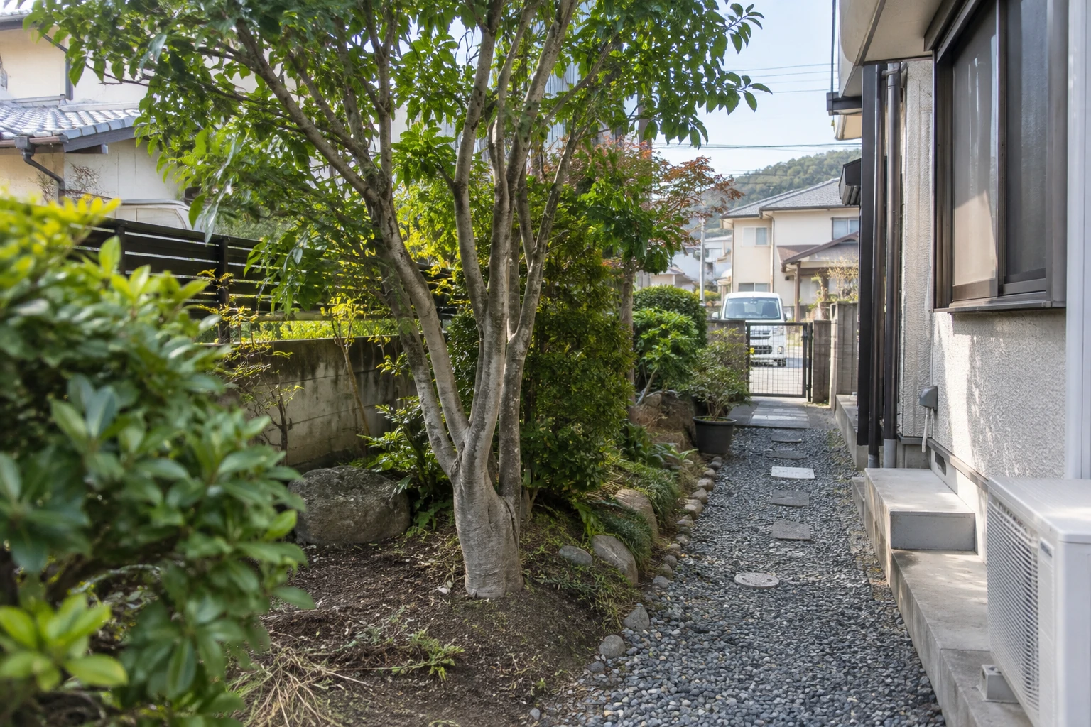 庭木の根元と住宅脇の搬出経路