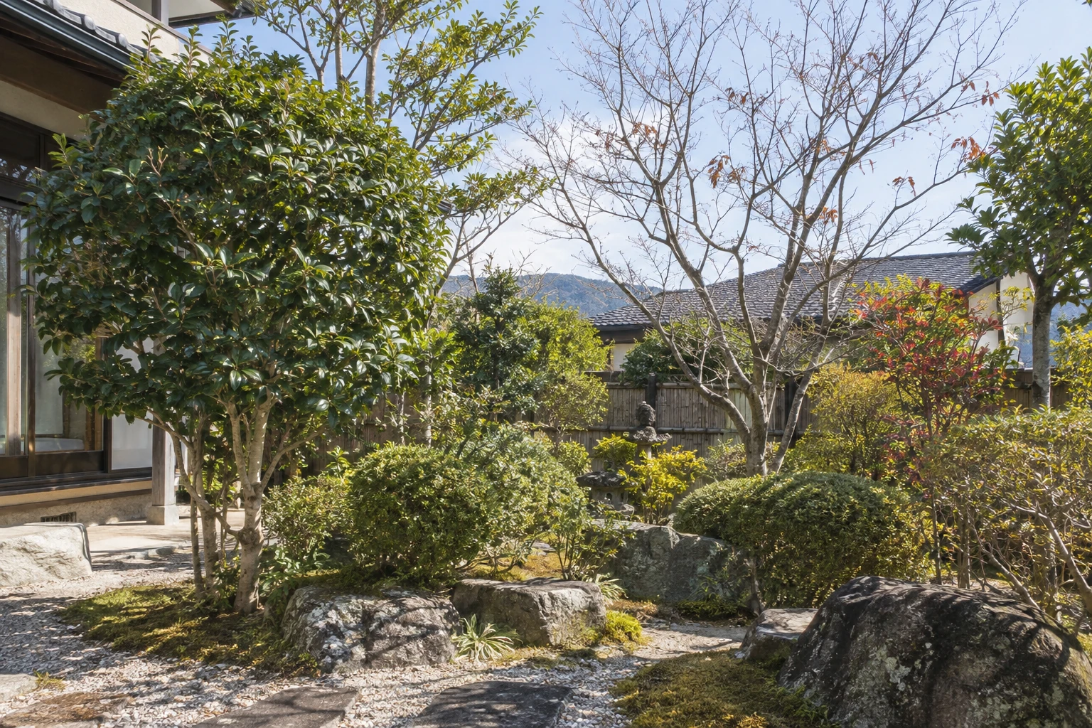 落葉樹と常緑樹が植わる庭