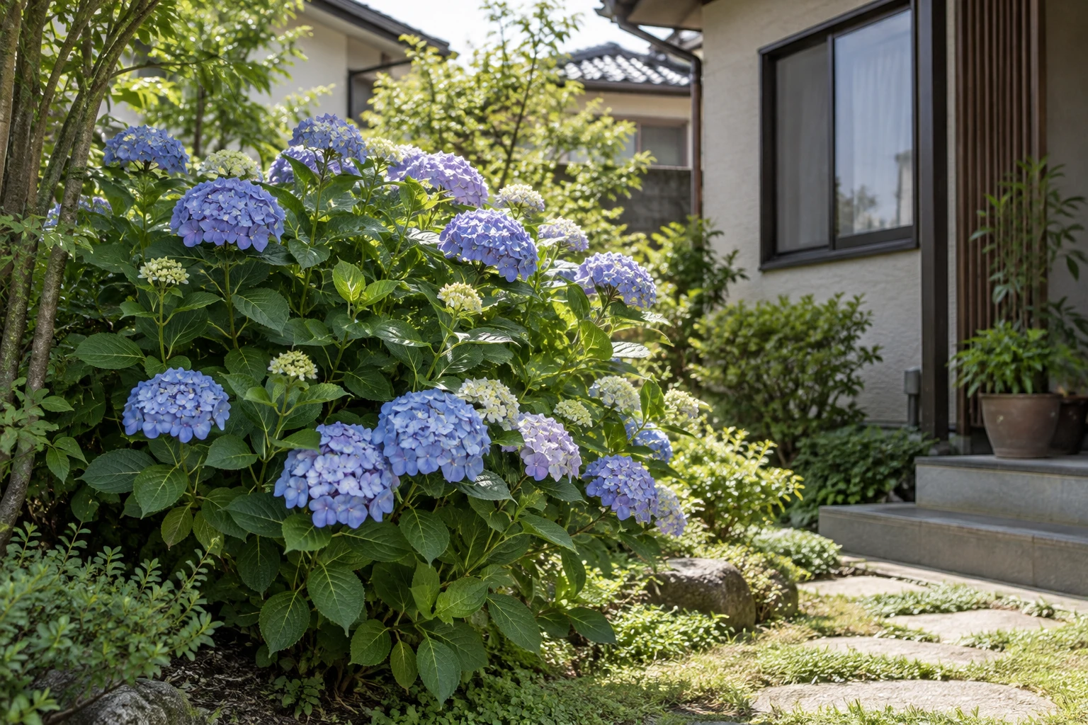 種類が分からなくても、花・葉・株の様子を伝えられる