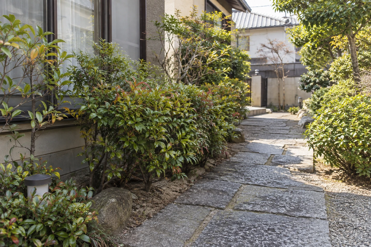 住宅の通路脇に植えられた低木